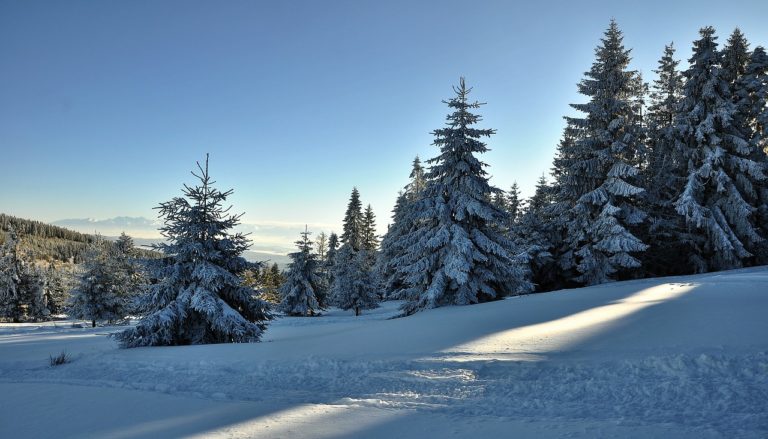 Apartamenty zakopane – idealne miejsce na zimowy wypoczynek